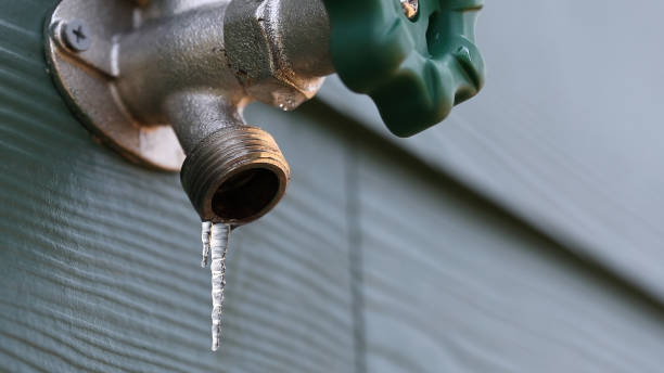 Best Local Plumber Services  in Breezy Point, MN